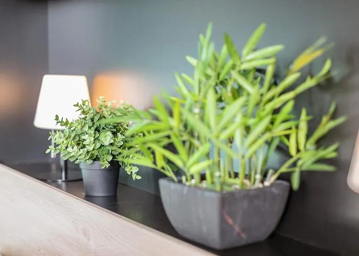 Appartement Les Sablons