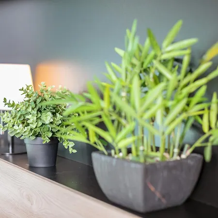 Lägenhet Les Sablons